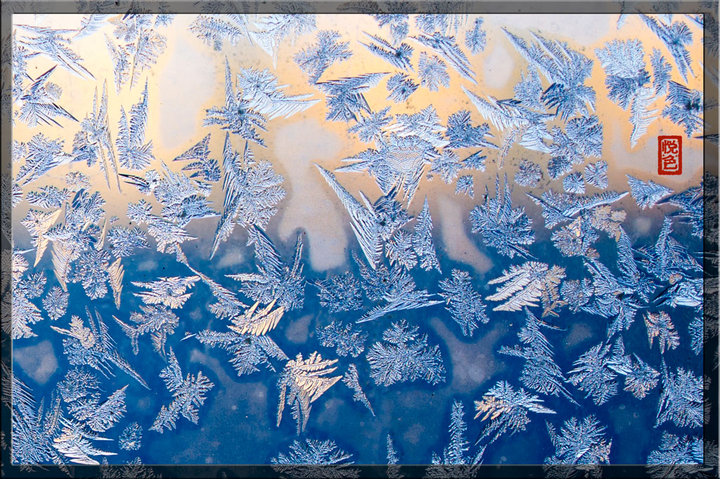 【冰凌花摄影图片】家里窗户的玻璃生态摄影