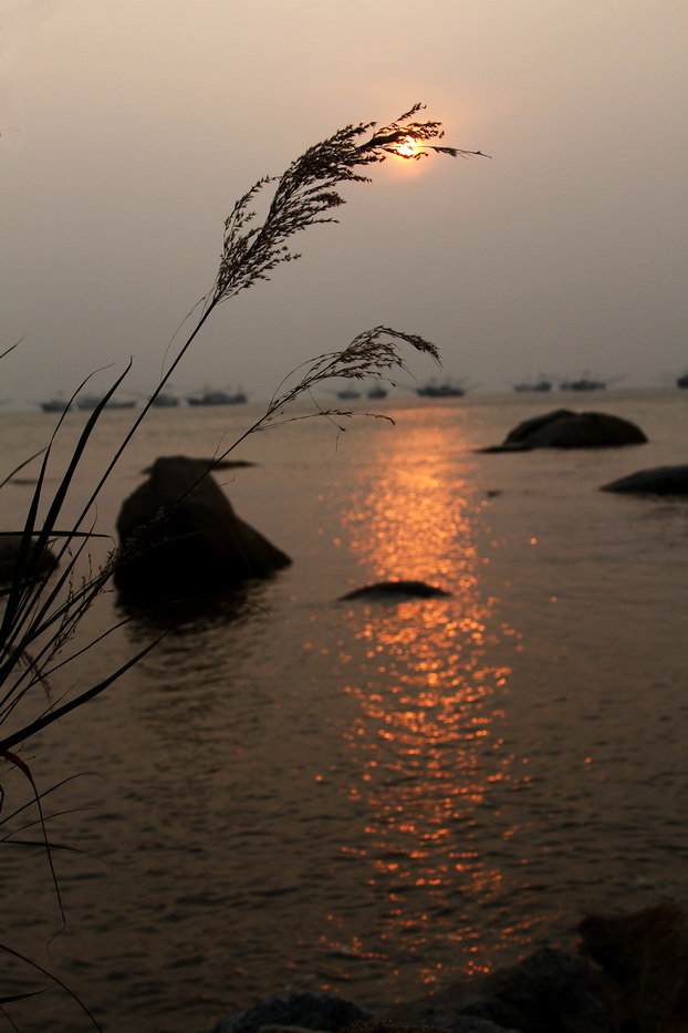夕阳美