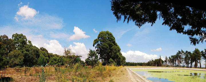 【【PS接片风景】摄影图片】非洲 肯尼亚风光