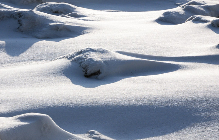 雪影迷踪