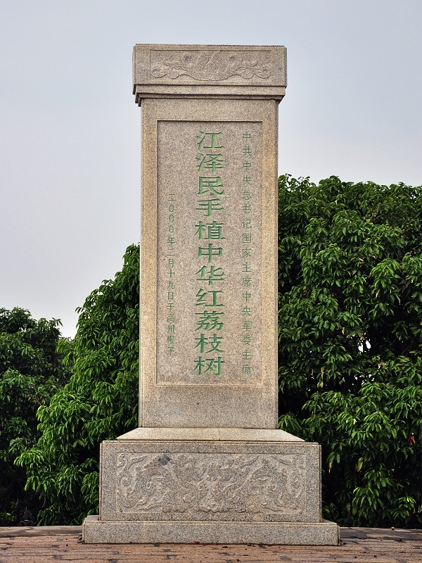 【荔枝之乡根子镇摄影图片】广东省茂名市高州