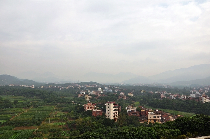 【荔枝之乡根子镇摄影图片】广东省茂名市高州