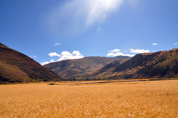 【西藏行-天路秋篇摄影图片】沿途风光旅游摄
