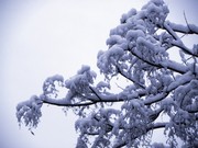 2012年北京第一场雪