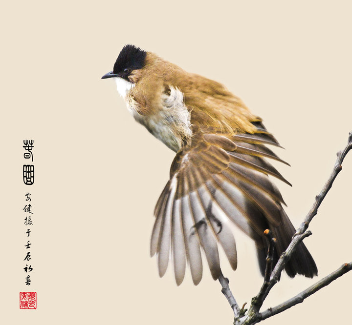 贵州江口县城图片
