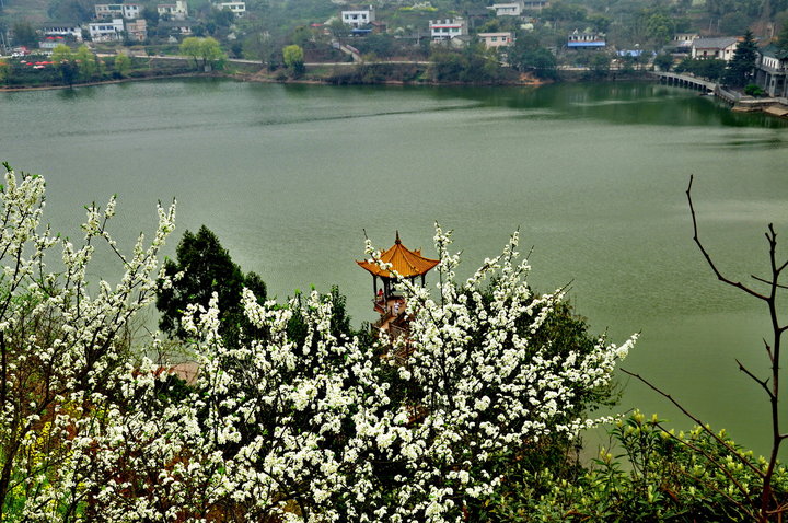 【宝狮湖的春天摄影图片】成都龙泉生态摄影
