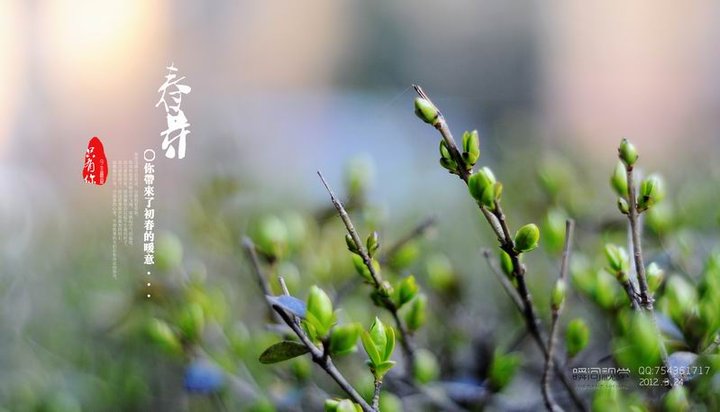 【春芽摄影图片】徐州家中小区生态摄影_蓝风