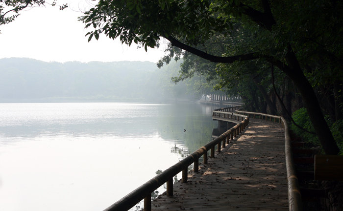 烟雨东湖
