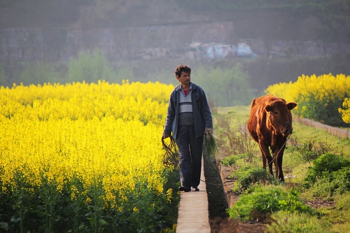 【2012中国贵州开阳乡村旅游文化节暨开阳十