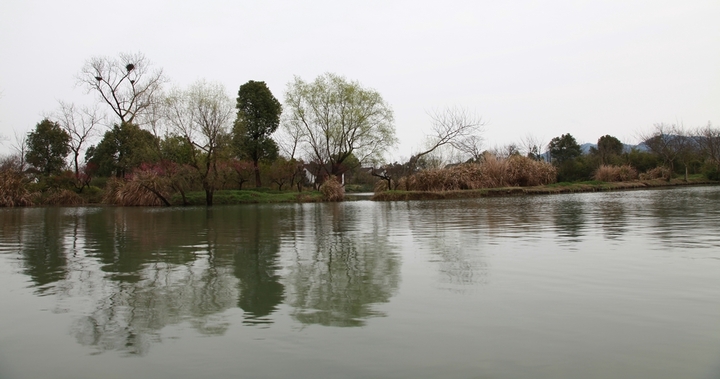 杭州西溪湿地