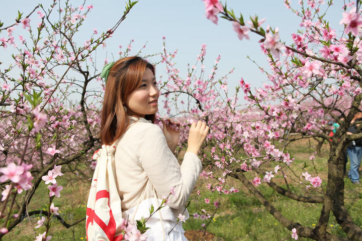 桃花美女