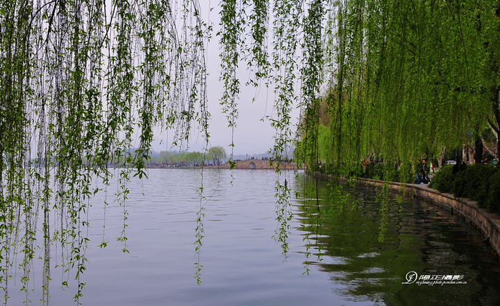 【春风又绿江南岸摄影图片】杭州风光旅游摄影