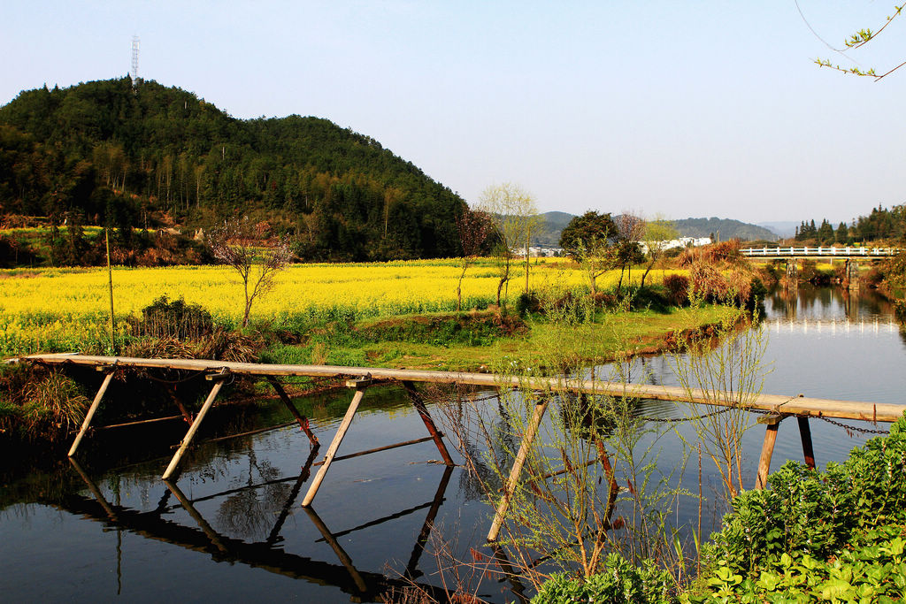 大美婺源乡村美景