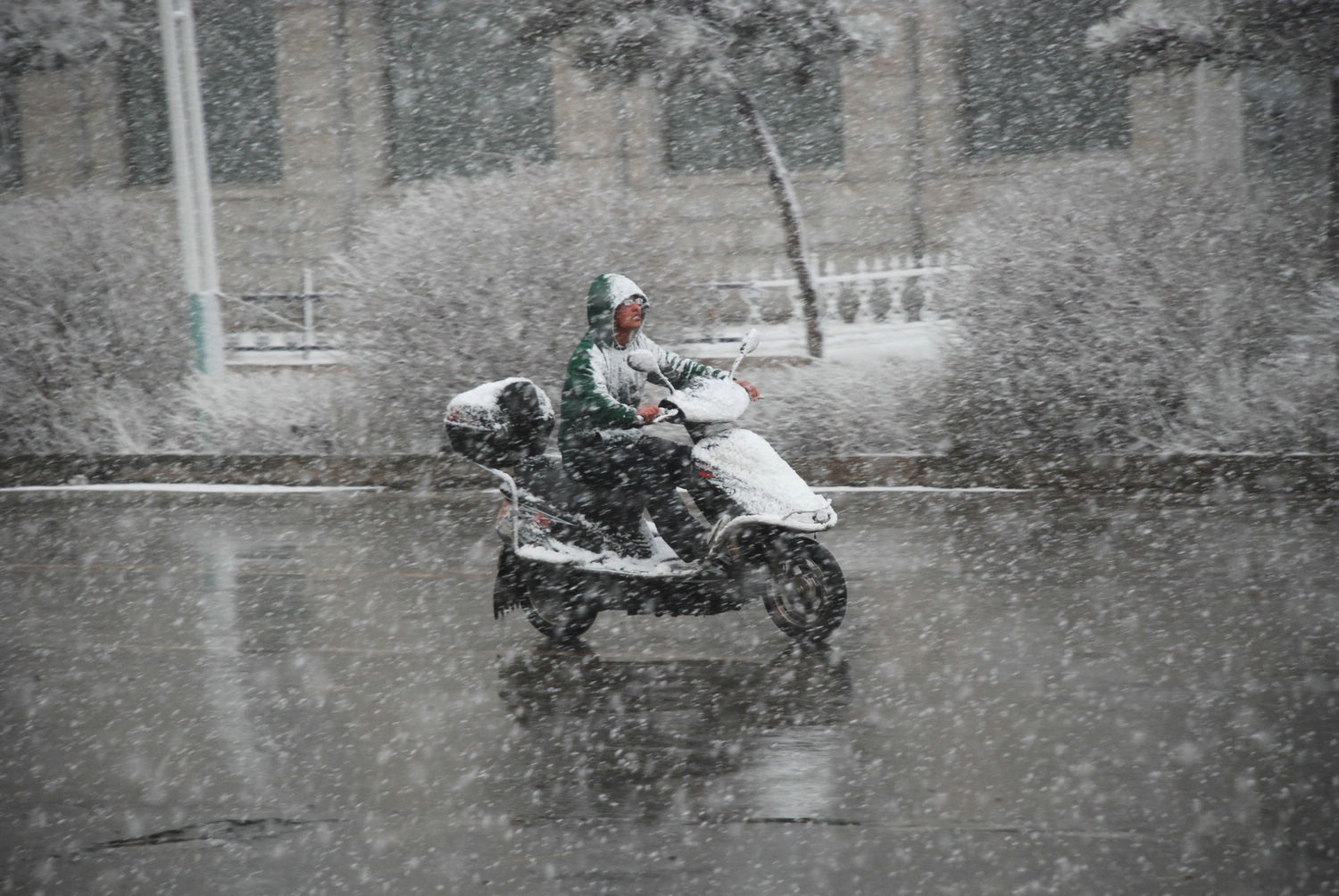 风雪前行