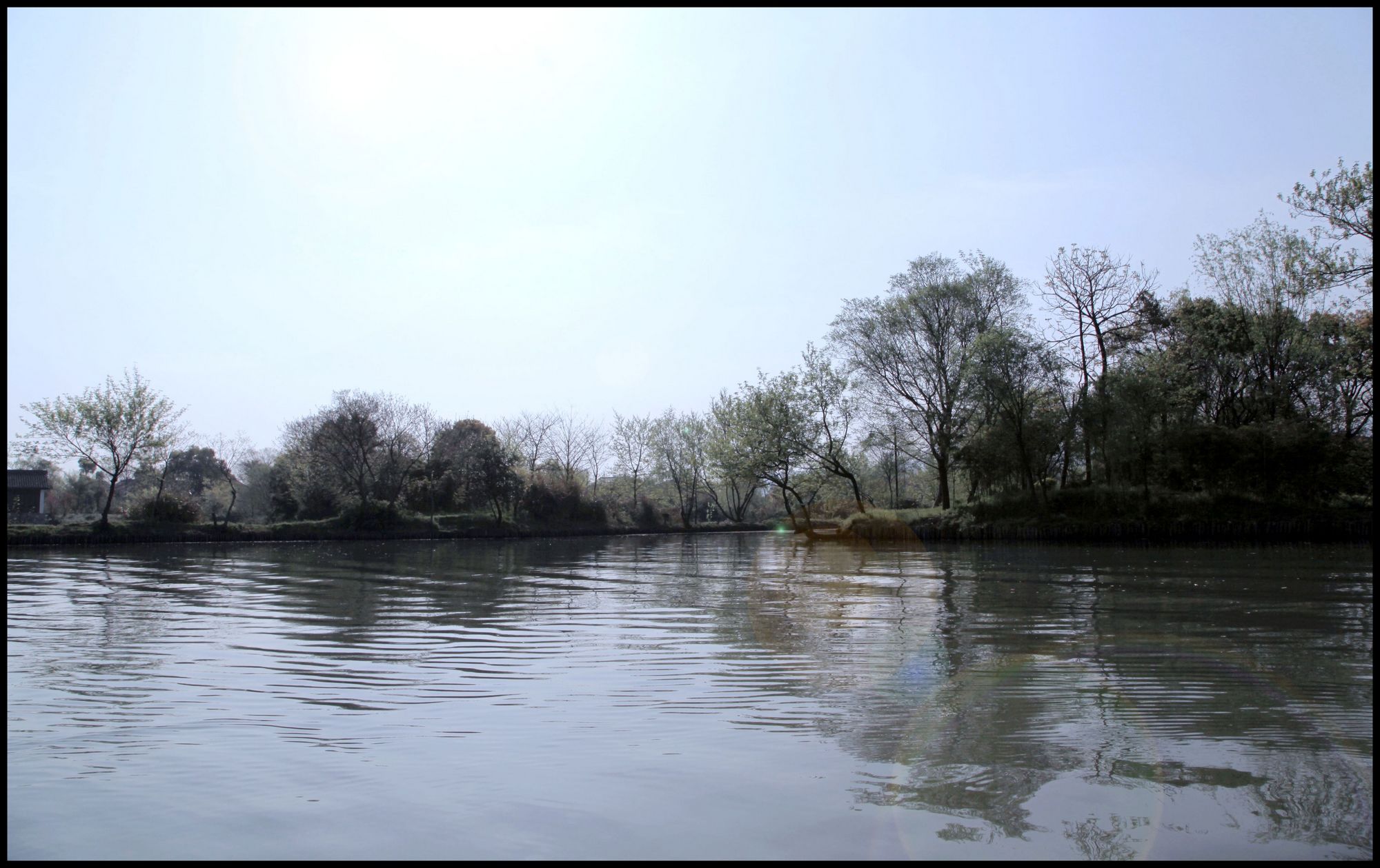 杭州西溪湿地图片素材-编号11812301-图行天下