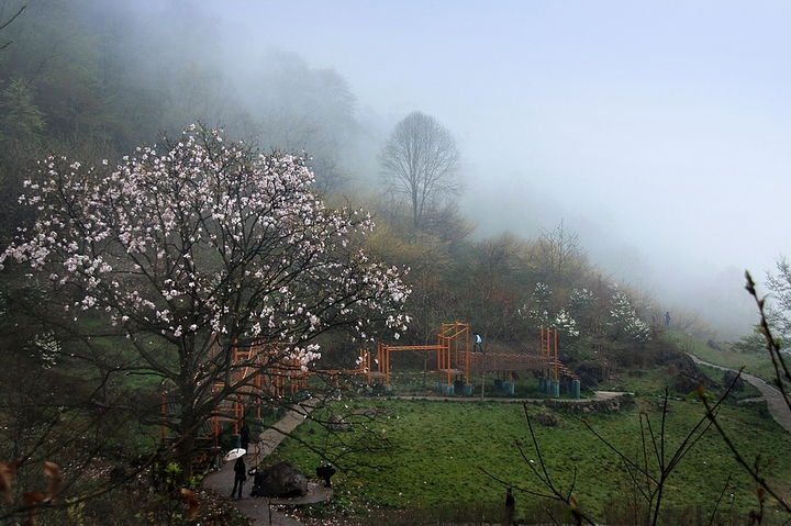 北川药王谷