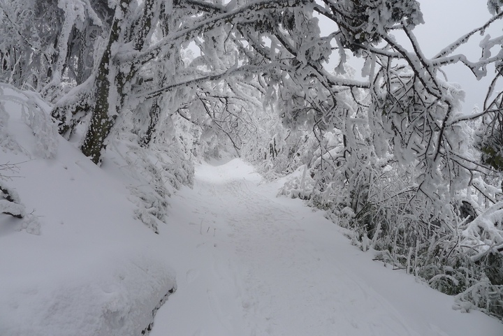 白雪皑皑——峨眉山