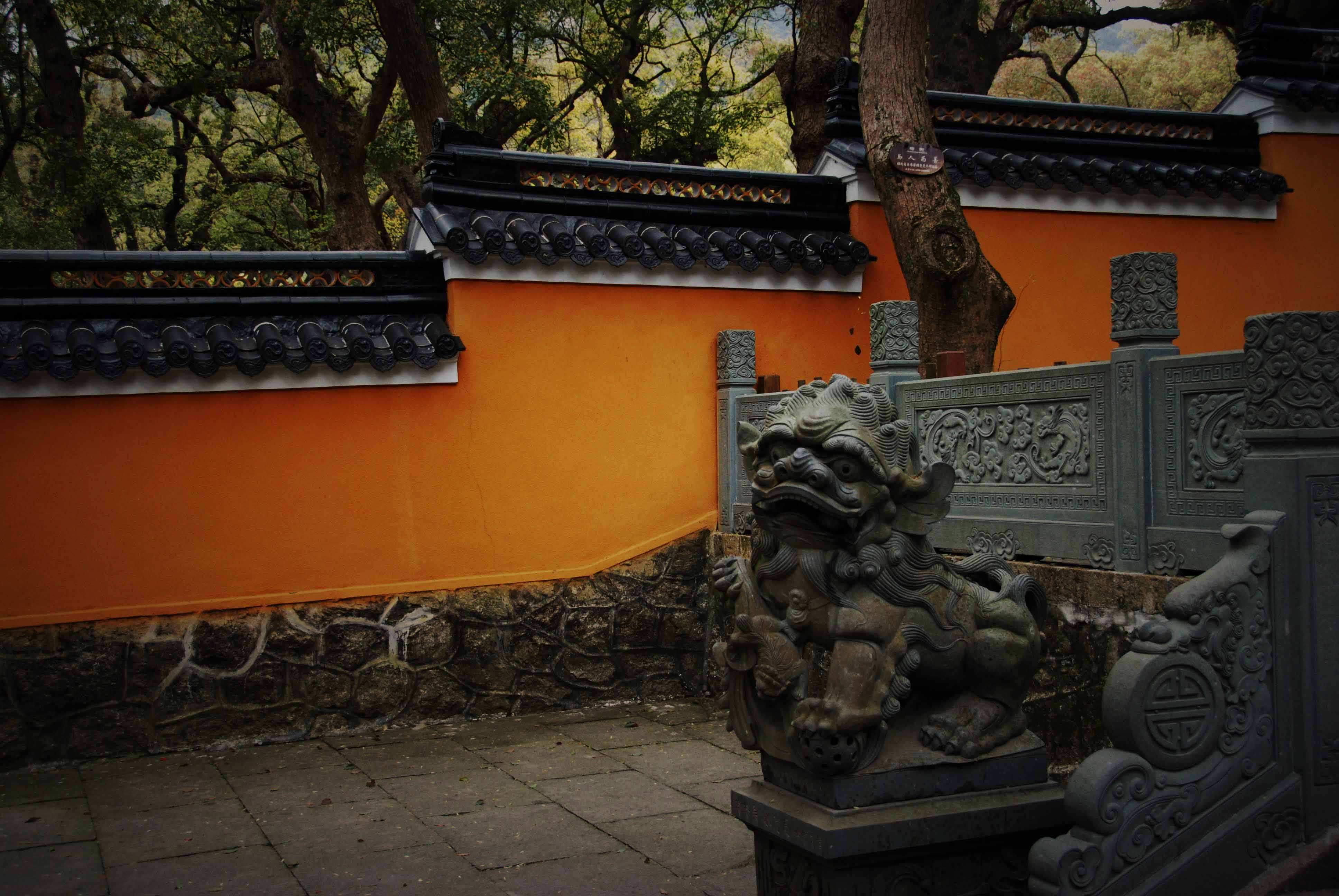 【普陀山的寺院——法雨禅寺(五)摄影图片】法雨禅寺