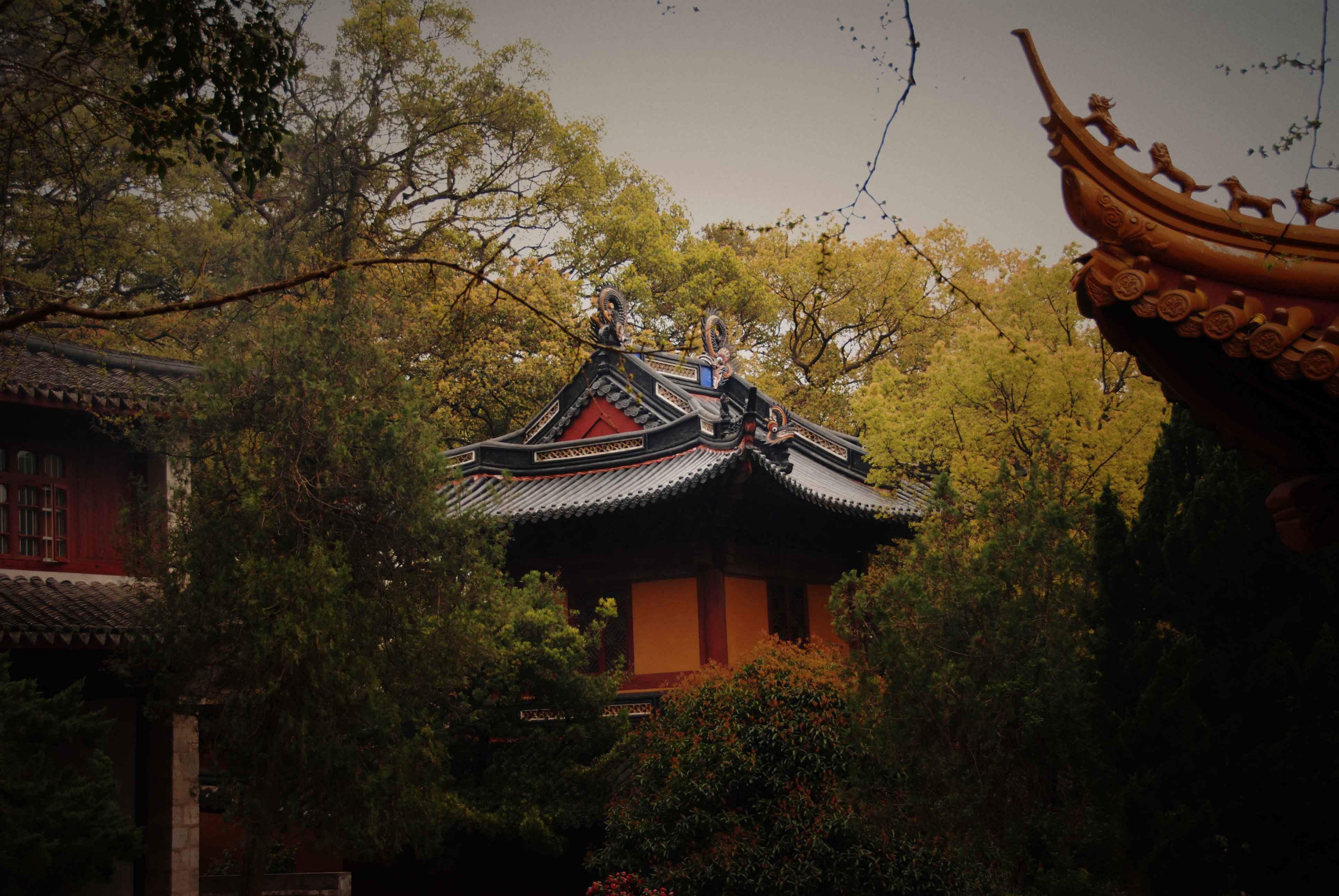 普陀山的寺院——法雨禅寺(五)