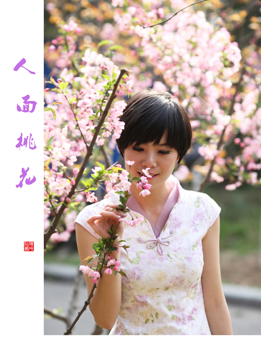 人面桃花