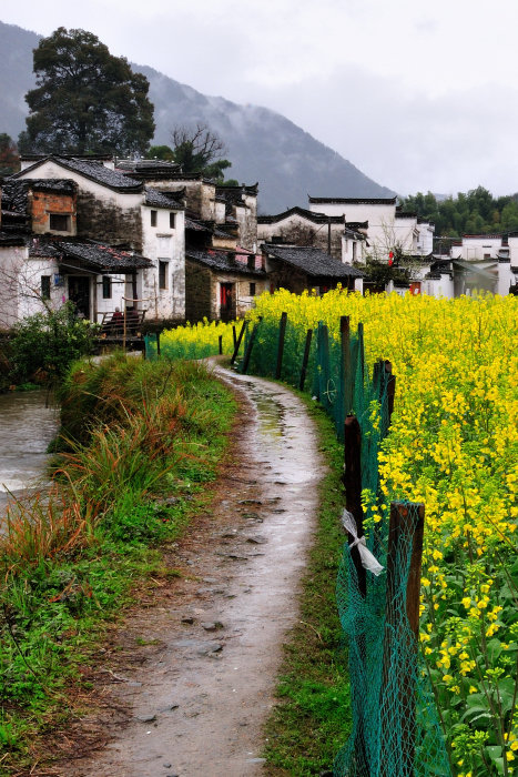 雨中婺源