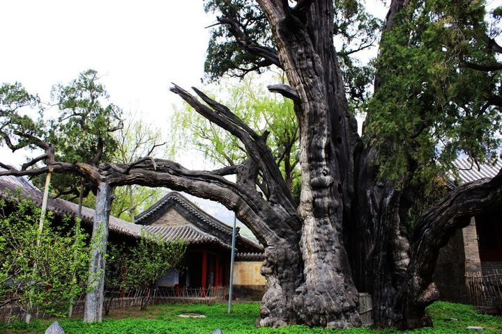 嵩阳书院(河南登封)