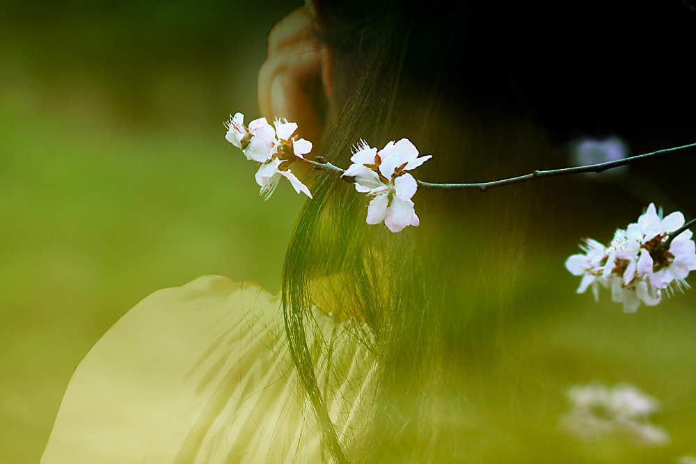 桃花幽梦