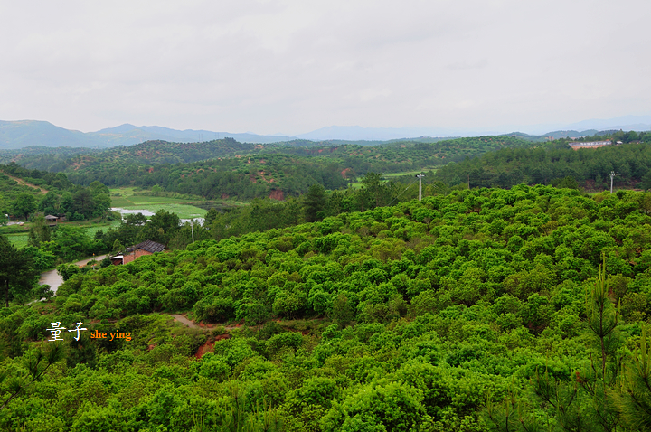 三洲杨梅山庄