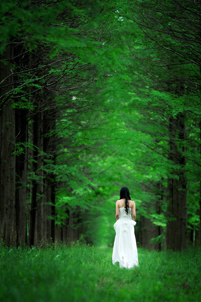 秘密花园--绿影仙踪摄影图片】黄海森林公园人