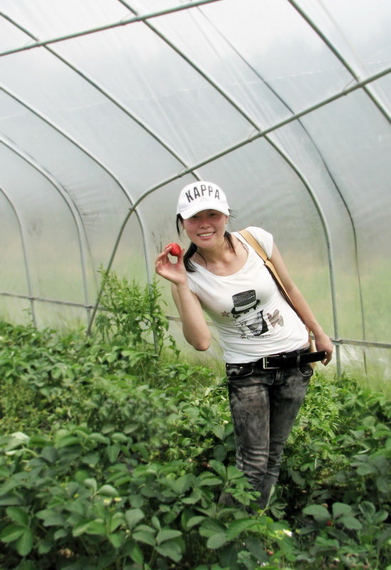 【小燕子摘草莓摄影图片】耒阳哲桥石仙生态园