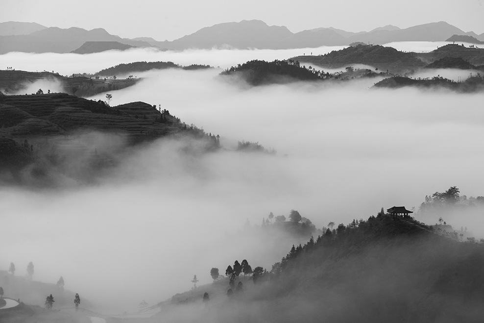 高山云雾