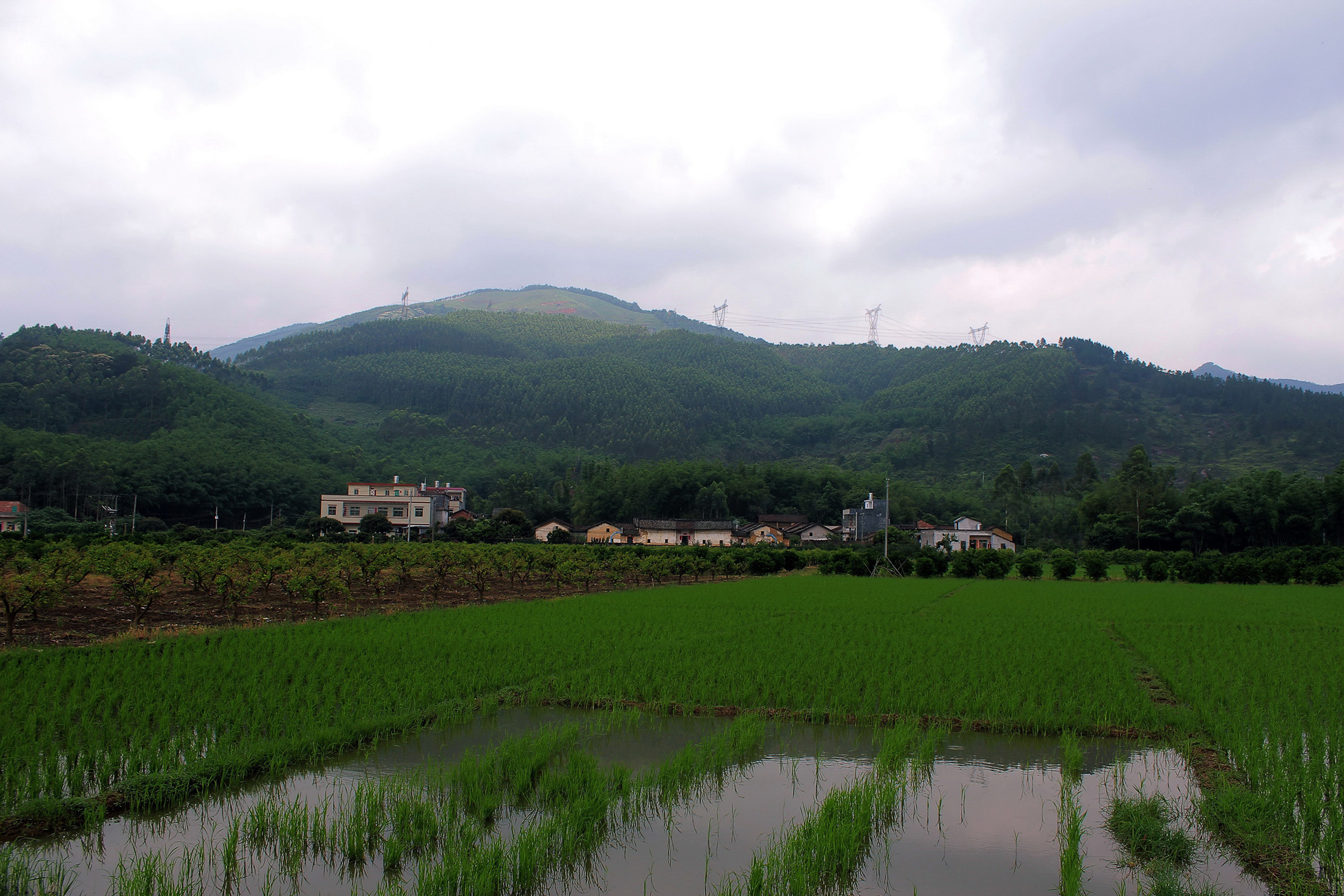 惠州风景