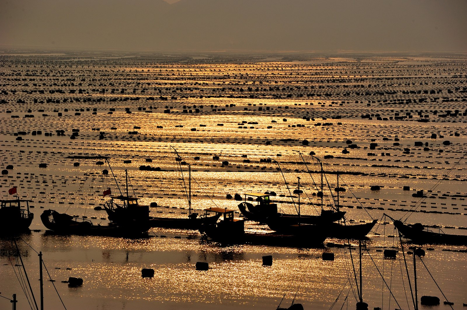 镜头里的“最美滩涂”霞浦休渔季，宛如一张油画