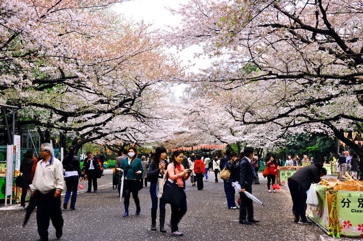 【日本行-上野公园摄影图片】日本风光旅游摄影_以吾之拙眼