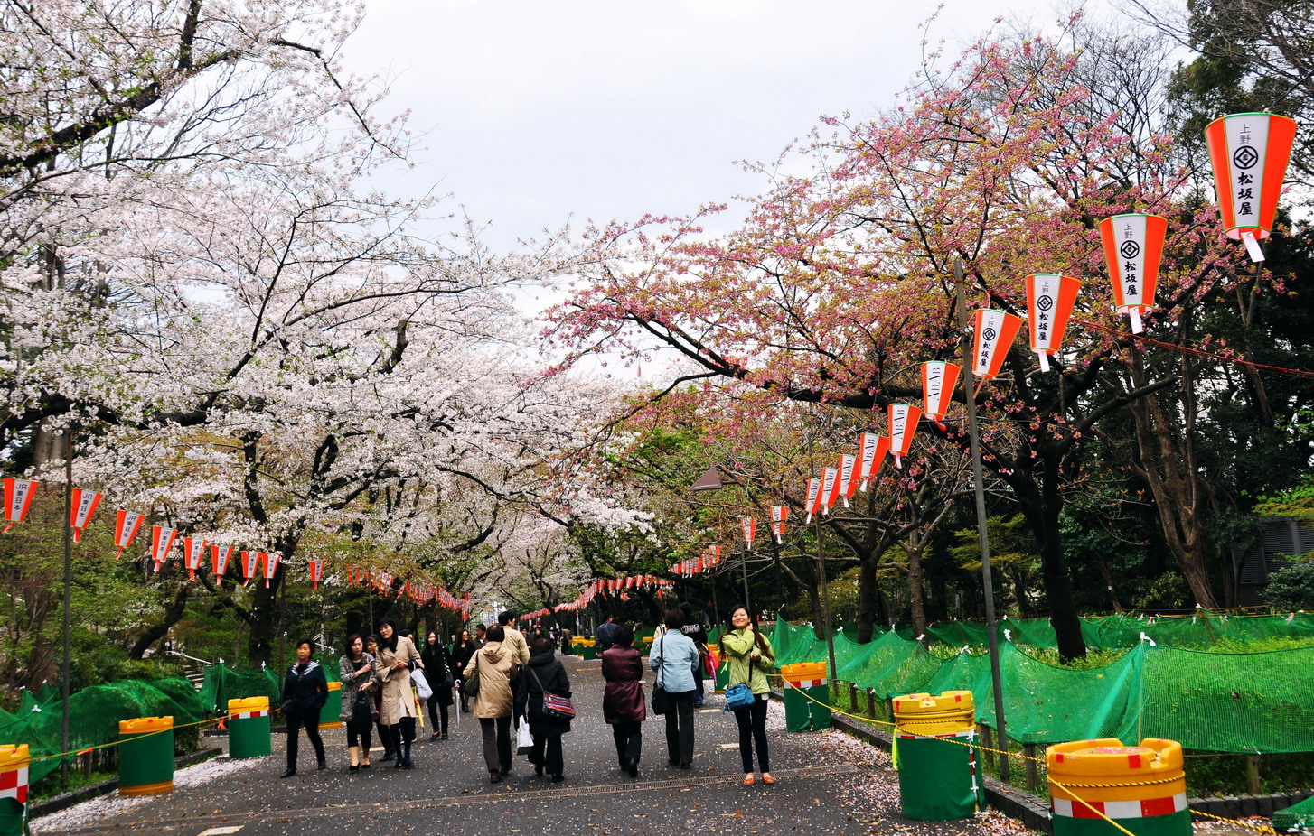 【携程攻略】东京上野公园景点,每年的上野樱花祭都能迎来数百万的游客，只为一睹随风飘落的漫天花雪…