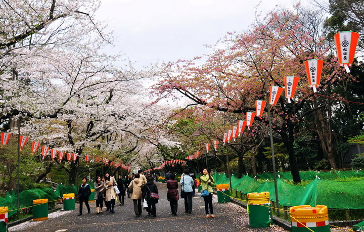 【日本行-上野公园摄影图片】日本风光旅游摄