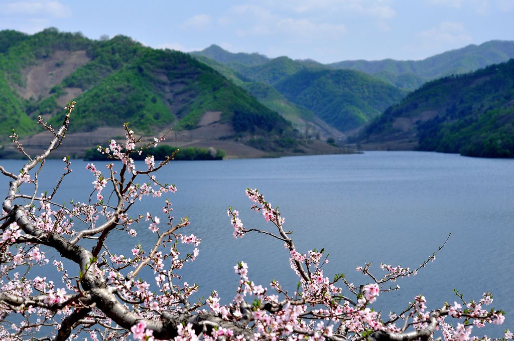 【河口桃花节摄影图片】宽甸河口风光摄影_美景的摄影