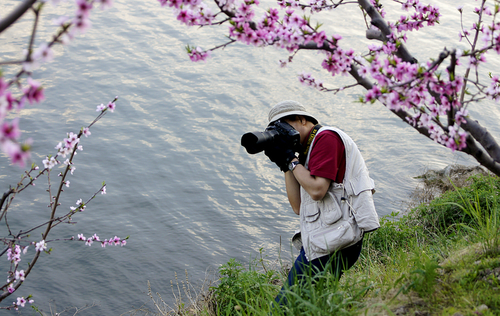 在那桃花盛开的地方.丹东河口桃花节随拍摄影