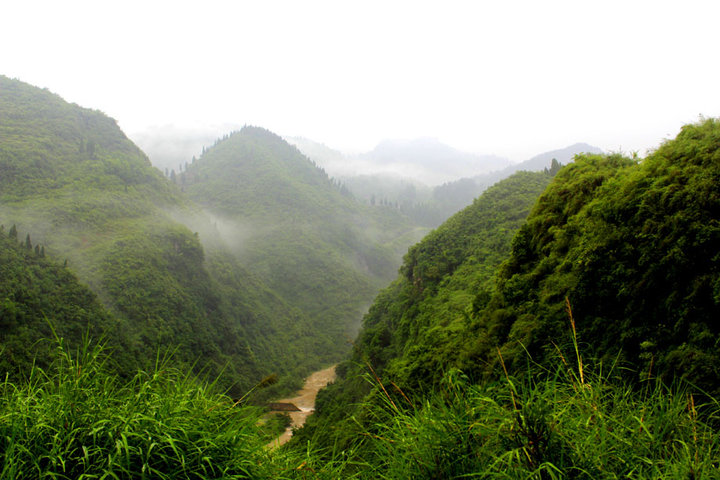 大山深处