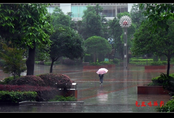 雨景随拍