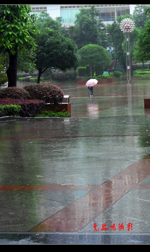 雨景随拍