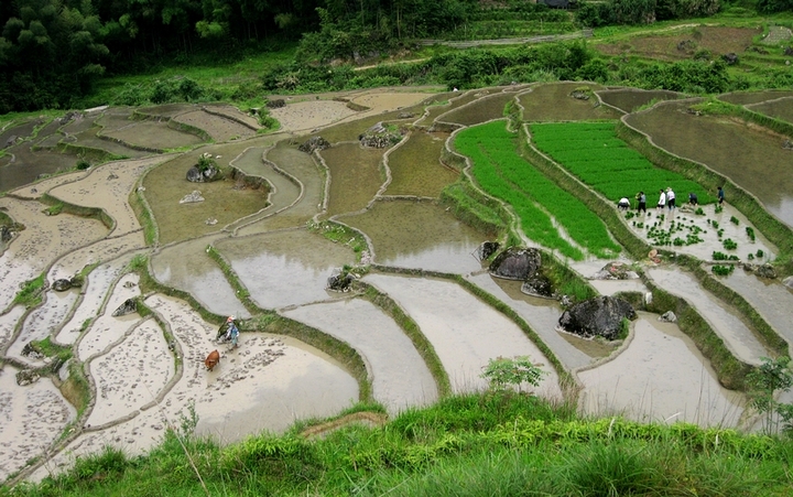 【南雄百顺溪头梯田!摄影图片】南雄风光旅游