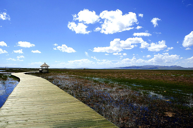 旅行,行走在路上