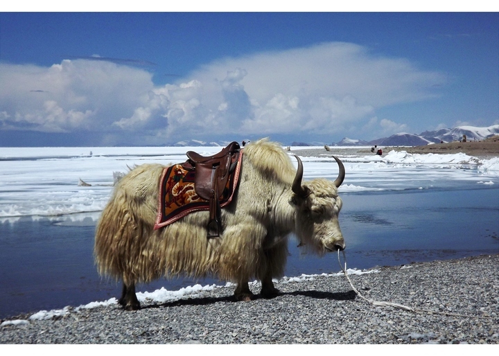 【天上西藏之二:那根拉山口和纳朩措摄影图片