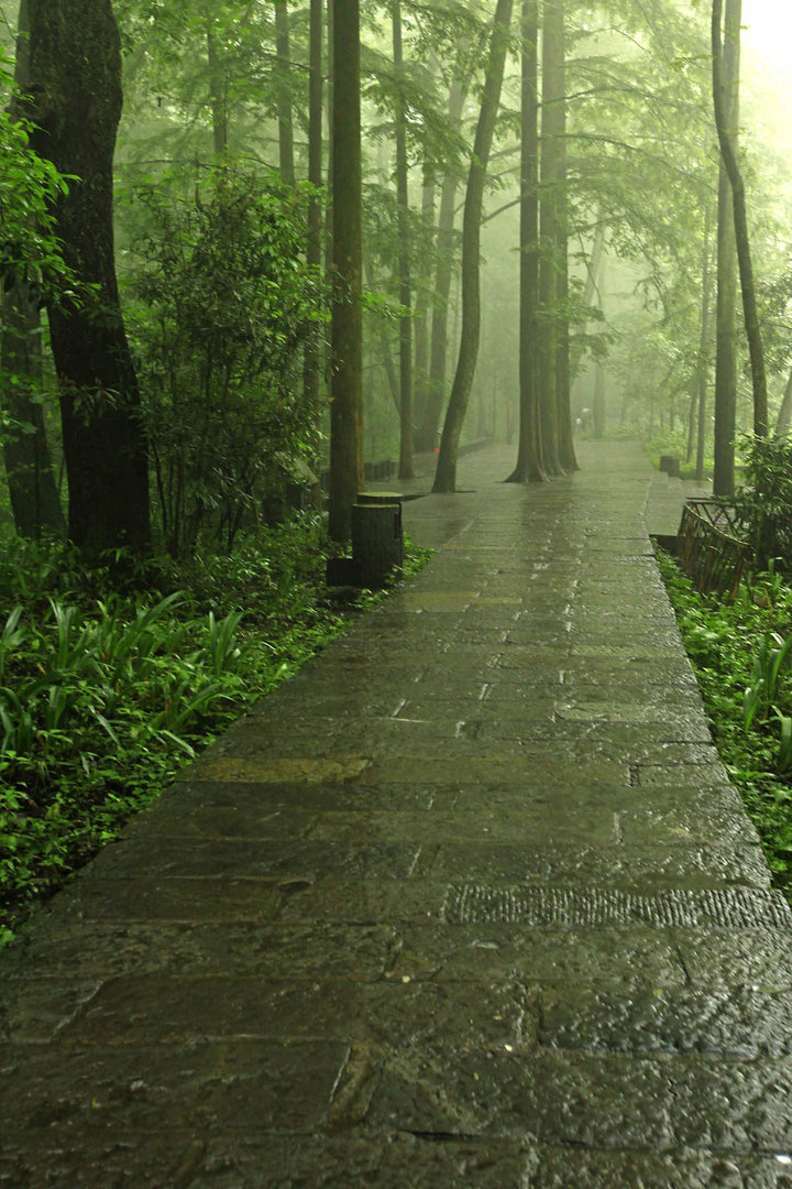 张家界掠影-金鞭溪,黄石寨和宝峰湖雨景