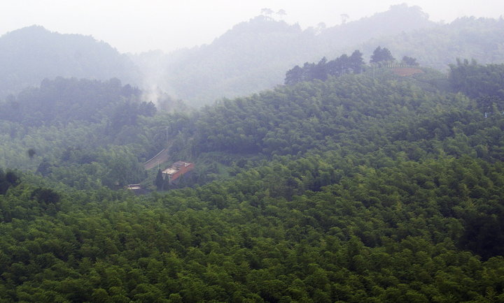 永川茶山竹海