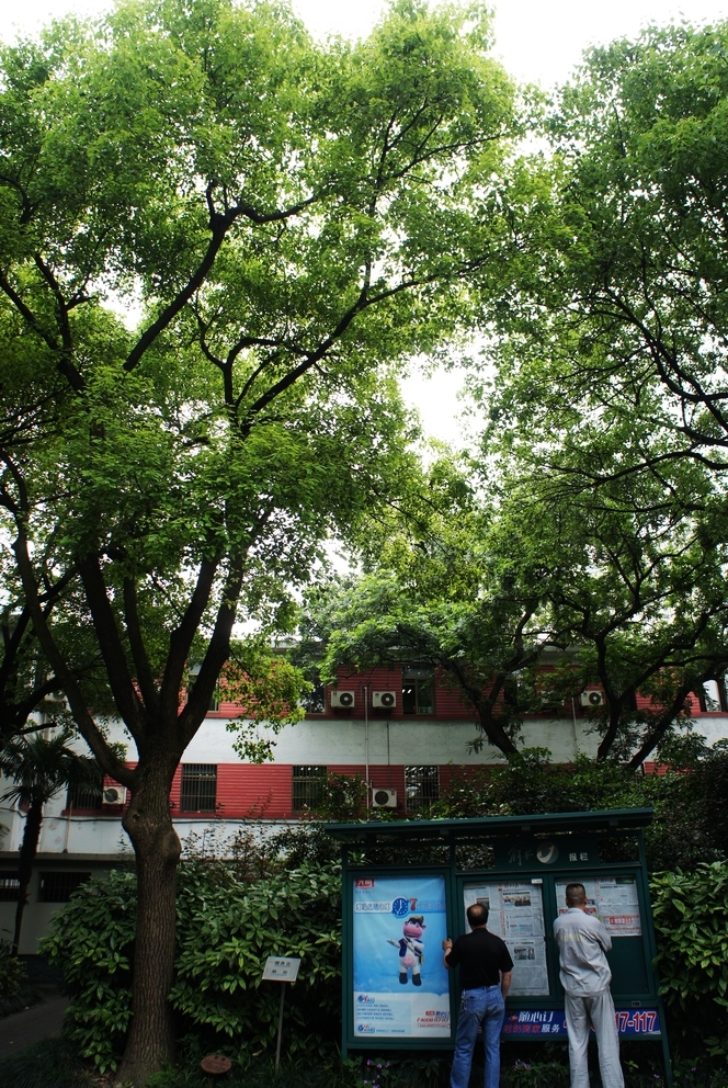 【上海里弄老房子-平凉路摄影图片】上海纪实
