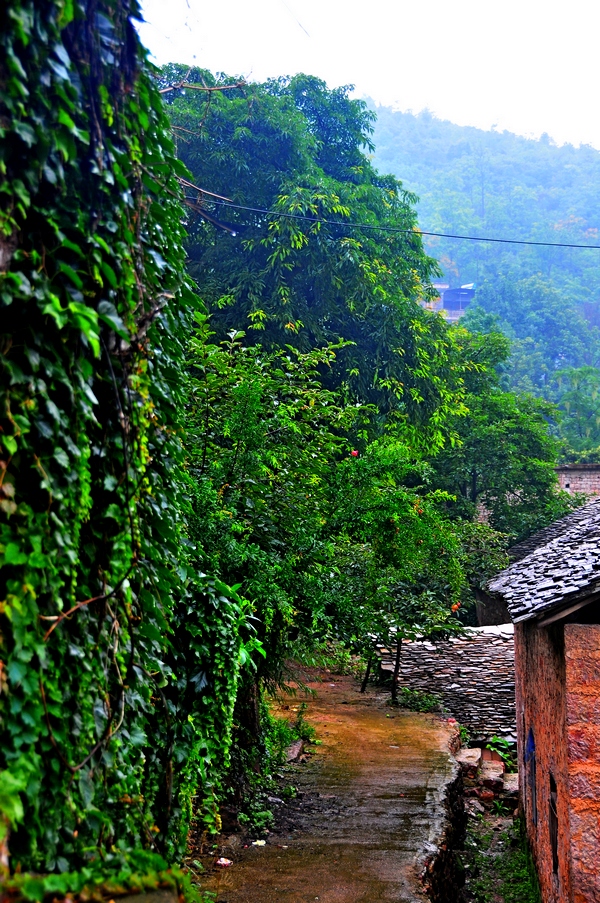 雨中游黄果树滑石哨布依族村寨