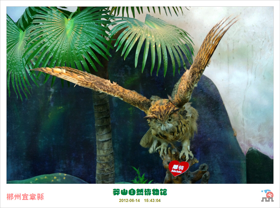 莽山自然博物馆