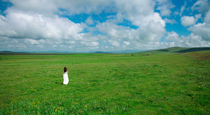 【我和草原有个约定摄影图片】若尔盖大草原人